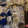 Magic Christmas - immagine 15